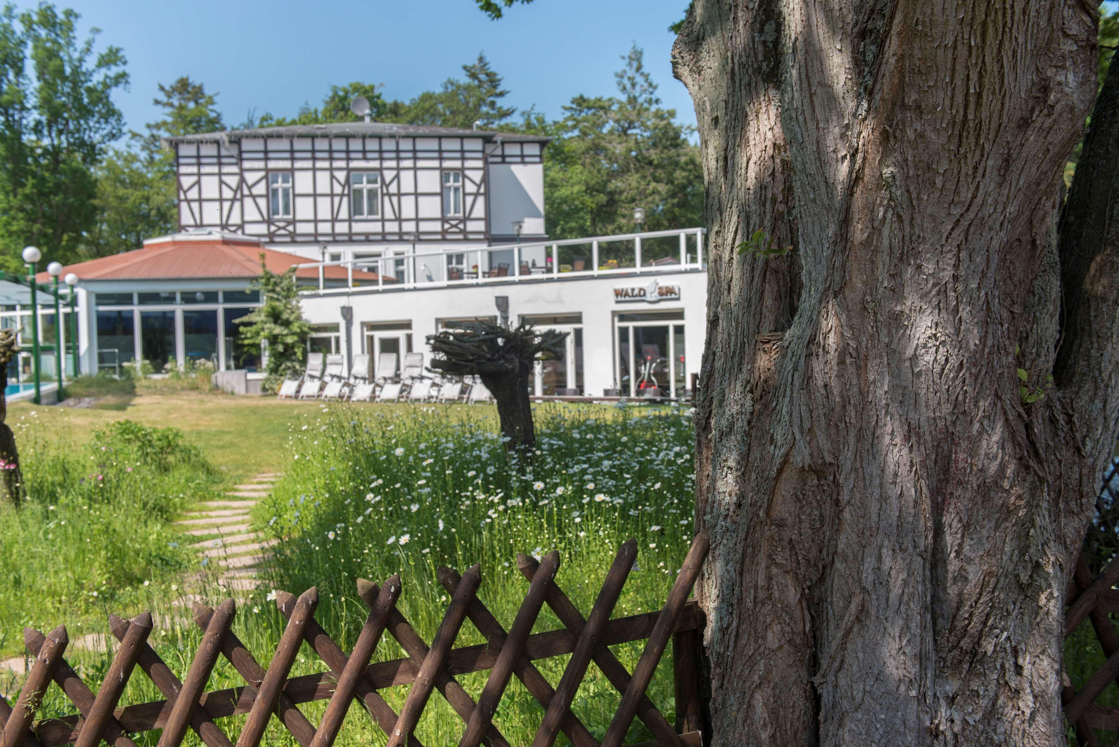 Best Western Plus Ostseehotel Waldschloesschen Prerow Dış mekan fotoğraf
